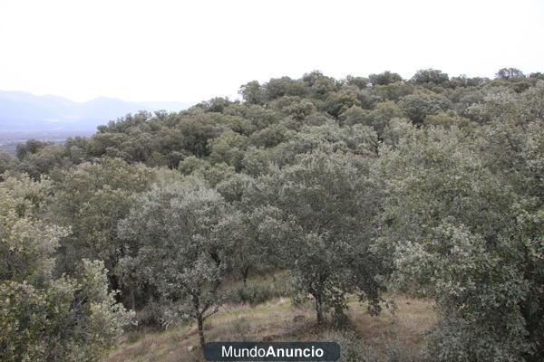 FINCA DE CAZA MAYOR 1.200 HAS EN CORDOBA. OPORTUNIDAD.