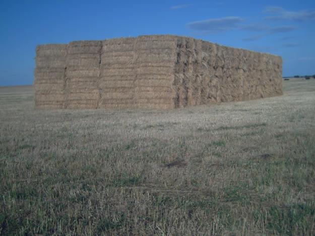 VENTA DE HENO. (PAQUETE GRANDE)
