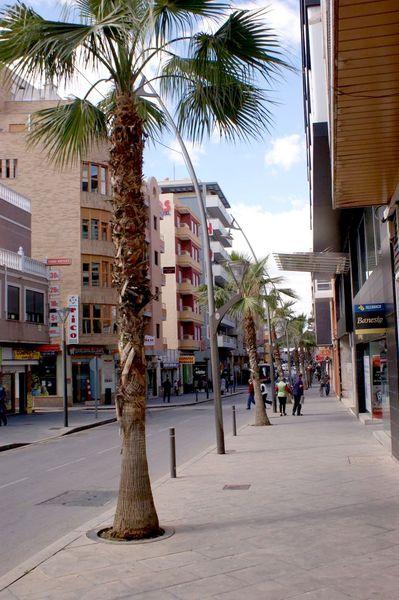Apartamento en Torrevieja