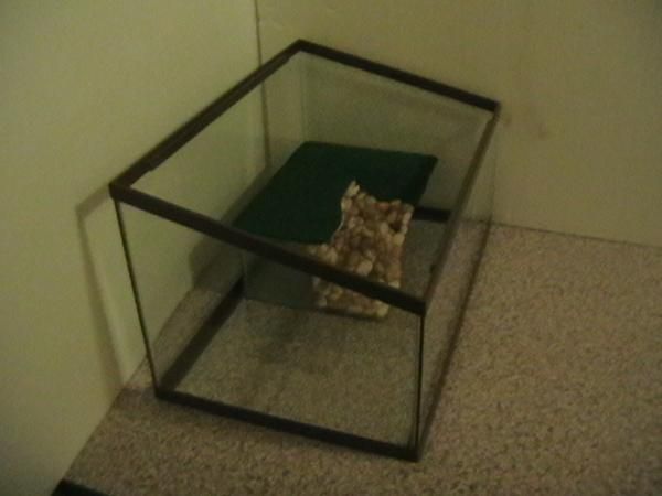 vendo tortuguera