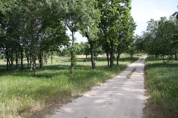 FINCA DE RECREO , 37 HAS CON DOS CASAS EN CANDELEDA (AVILA)