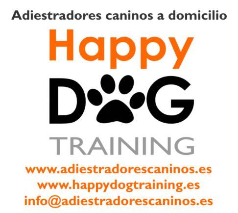 Adiestramiento canino a domicilio en Sevilla y provincia