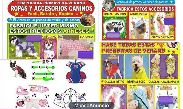 Curso ropa para perros y accesorios