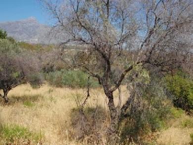 Terreno se vende en Marbella, Costa del Sol
