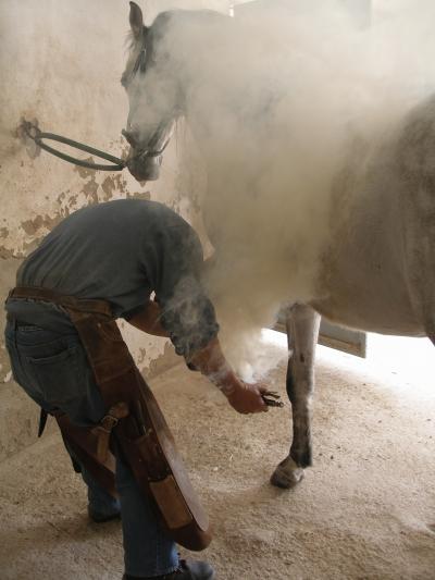 SE OFRECE HERRADOR PROFESIONAL TITULADO . EXPERIENCIA Y SERIEDAD