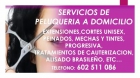 Servicios de peluqueria a domicilio y manicure - mejor precio | unprecio.es