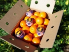 naranjas valencianas a domicilio - mejor precio | unprecio.es