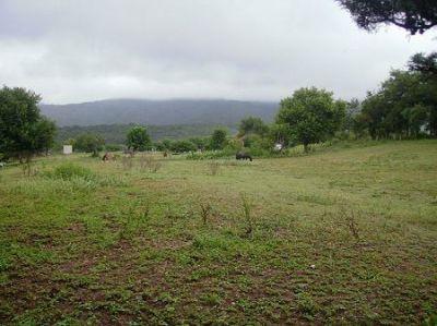 150.000 Htas.en La Rioja-ARGENTINA