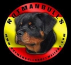 Rotmanbull's Rottweilers - mejor precio | unprecio.es