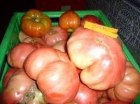 Tomates rosados de la sierra de aracena - mejor precio | unprecio.es