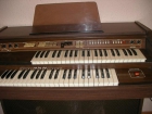 CHOLLOOOOOOOOOOO VENDO PIANO LECTRICO  MARCA EKO LS 1200 - mejor precio | unprecio.es