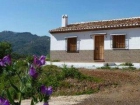 Finca/Casa Rural en venta en Benamargosa, Málaga (Costa del Sol) - mejor precio | unprecio.es