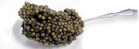 Caviar negro de esturión ruso en Barcelona/España