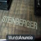 GUITARRA STEINBERGER CON FUNDA+ACCESORIOS - mejor precio | unprecio.es