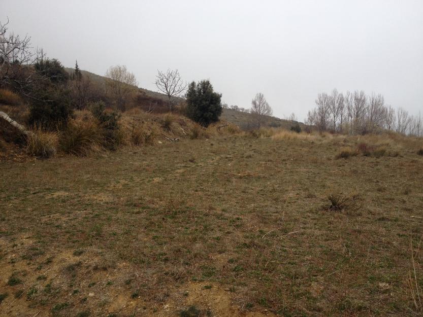 se alquila magnifico terreno ecologico