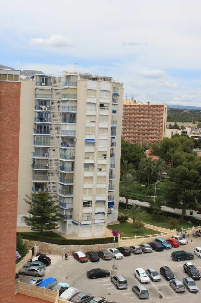 tico en venta en Benidorm, Alicante (Costa Blanca)