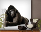 Gorila foto mural 300 x 280 cm - mejor precio | unprecio.es