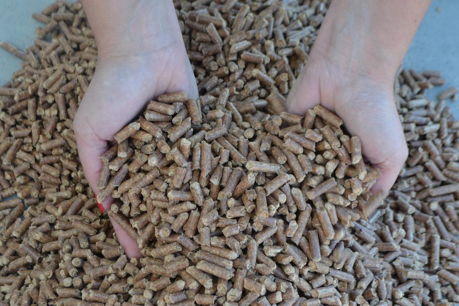 Pellets de madera: calidad certificada A