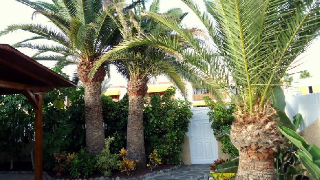 Bungalow en Playa del Ingles