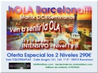 hOLA Barcelona!! Matrix OC® Nivel I & Nivel II (15-16 de Junio de 2013) - mejor precio | unprecio.es