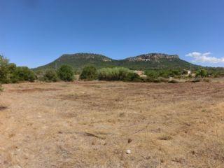 Finca/Casa Rural en venta en Llucmajor, Mallorca (Balearic Islands)