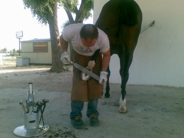 TECNICO HERRADOR DE CABALLOS TITULADO