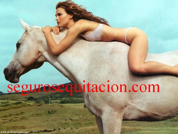 Asegura tu caballo al mejor precio