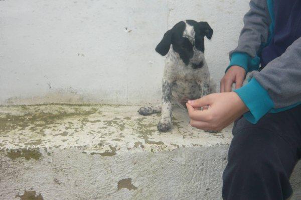 BILMA NECESITA UNA FAMILIA