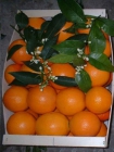 Naranjas naturales de la huerta de Valencia - mejor precio | unprecio.es