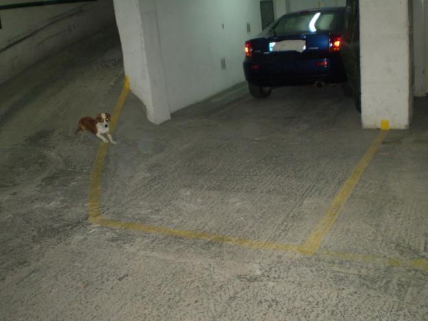 GARAJE EN EL CENTRO DE ARBOÇ