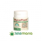 MycoPlant - mejor precio | unprecio.es