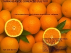 Se venden naranjas directamente de alicante - mejor precio | unprecio.es