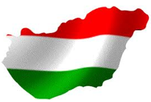 Traductor jurado  hungaro. precios a convenir. entregas  24h