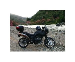 TRIUMPH TIGER