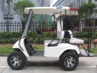 Se vende Buggie de golf electrico - mejor precio | unprecio.es