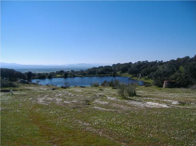 Finca rústica en Talavera de la Reina