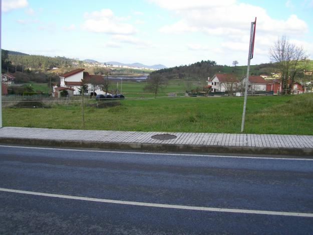 TERRENO EDIFICABLE EN CARASA