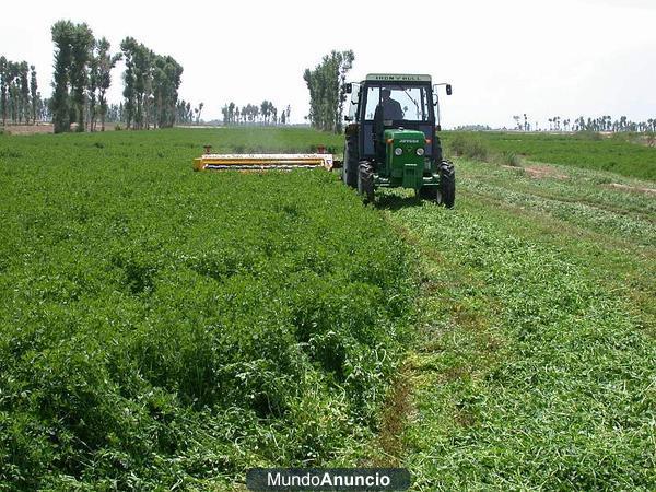 ALFALFA ECOLOGICA