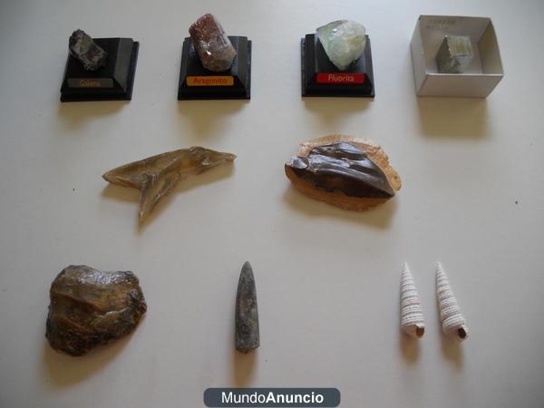 Colección de minerales y fósiles