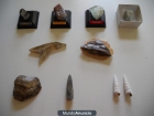 Colección de minerales y fósiles - mejor precio | unprecio.es