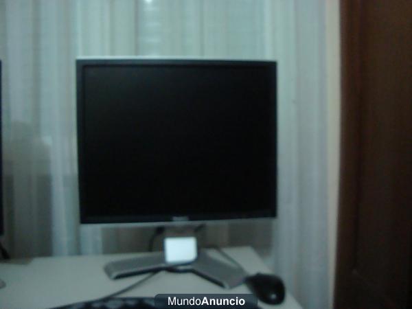 Monitor Dell 19\