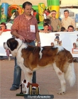 NIETOS DE FAUSTINO V 88CM A LA CRUZ - mejor precio | unprecio.es