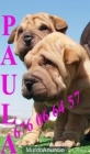 ¡Tu Shar-pei, magnificos cachorros! - mejor precio | unprecio.es