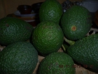 Venta de Aguacates Tacoronte - mejor precio | unprecio.es