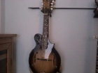 mandolina bluegrass electroacustica - mejor precio | unprecio.es