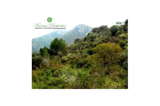 Terreno y Solares En Venta en Alcalali, Alicante