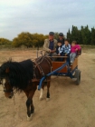 Caballo y Burra. - mejor precio | unprecio.es