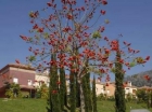 Adosado con 3 dormitorios se vende en Benalmadena Costa, Costa del Sol - mejor precio | unprecio.es