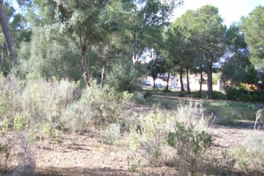 Terreno y Solares En Venta en Santa Ponsa, Mallorca