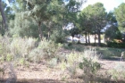 Terreno y Solares En Venta en Santa Ponsa, Mallorca - mejor precio | unprecio.es